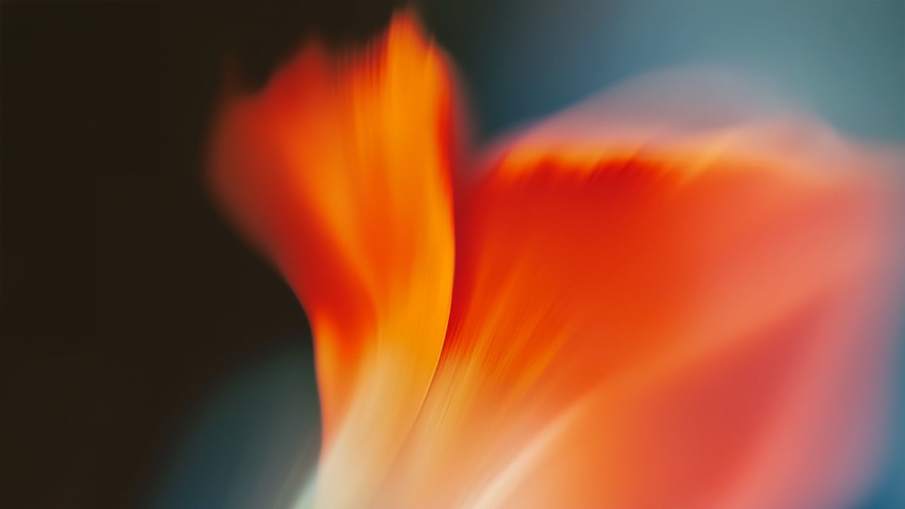 SIILI-Hero-2560x1440px-2