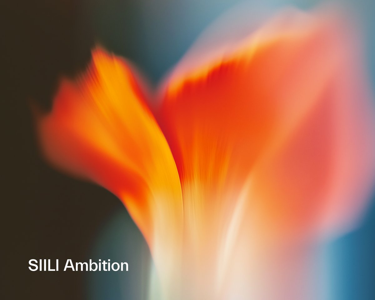 Siili_Ambition-5_4