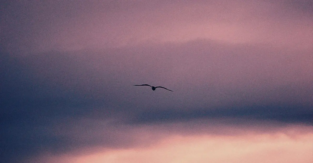 Creating the ecosystem of death