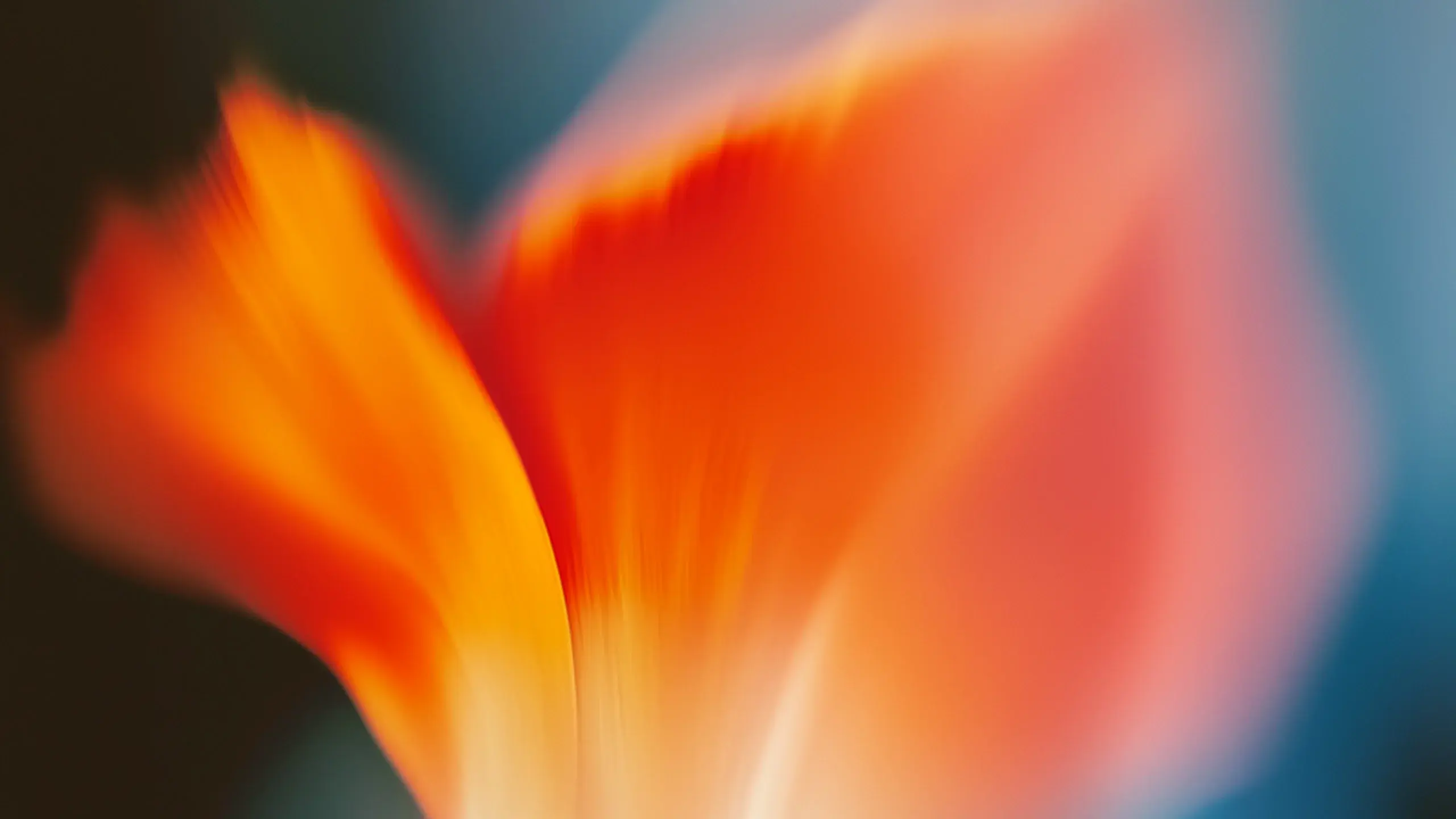 About_us-hero-2560x1440px