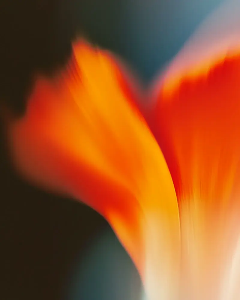 About_us-mobile-800x1000px