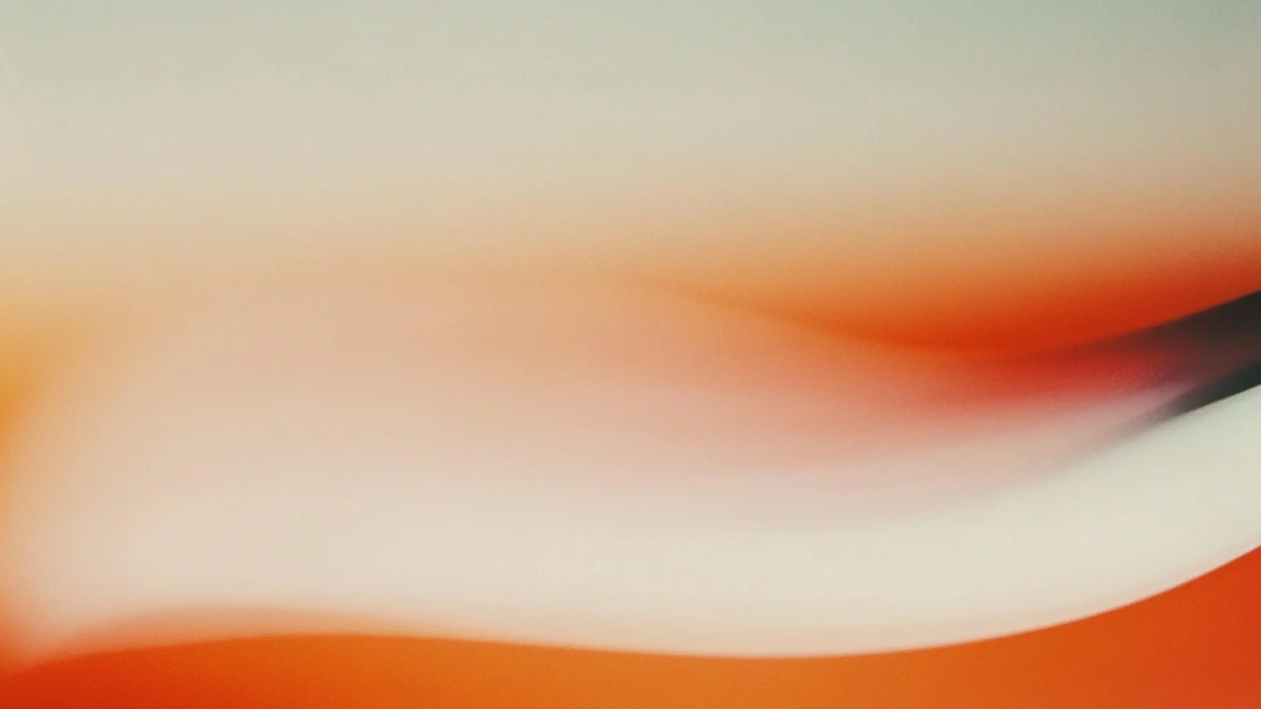 SIILI-Contact_us-hero-2560x1440px